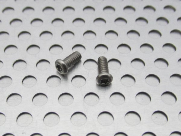 Photo2: X-SQUARED - Temple Screw