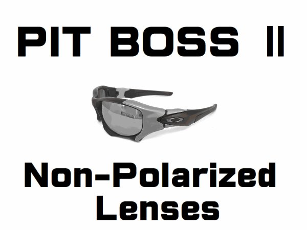 Photo1: Pit Boss 2 Non-Polarized Lenses