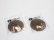Photo3: NXT Photochromic Lens - Brown  [NXTV-B1-40] (3)