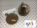 Photo4: NXT Photochromic Lens - Brown  [NXTV-B1-40] (4)