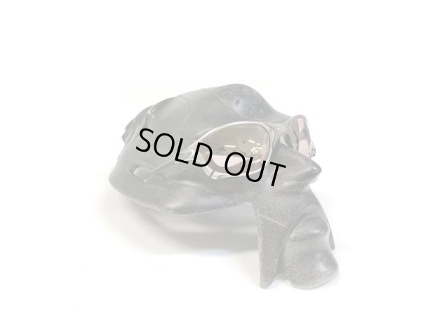 Photo18: X-METAL XX - Pinky Gold - NXT® VARIA™ Photochromic