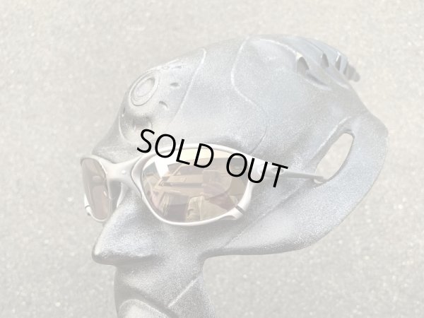 Photo11: X-METAL XX - Pinky Gold - NXT® VARIA™ Photochromic