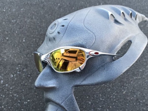 Photo10: JULIET - 24K Gold - UV420 Polarized