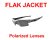 Photo1: FLAK JACKET Polarized Lenses (1)