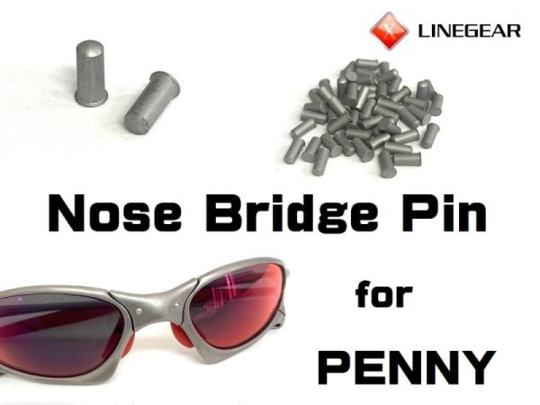 Photo1: Nose Bridge Pin for Penny - Matte Silver