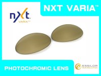 ROMEO1 - Gold Varia - NXT® VARIA™ Photochromic