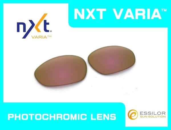 Photo1: X-METAL XX - Sunset Rose - NXT® VARIA™ Photochromic