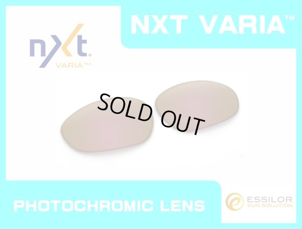 Photo1: X-METAL XX - Pinky Gold - NXT® VARIA™ Photochromic