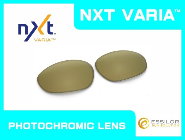 Photo1: X-METAL XX - Gold Varia - NXT® VARIA™  Photochromic