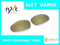 JULIET - Gold Varia - NXT® VARIA™ Photochromic