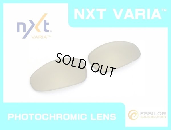 Photo1: JULIET - Gold Varia - NXT® VARIA™ Photochromic