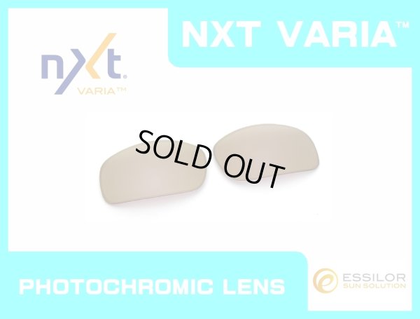 Photo1: X-SQUARED - Pinky Gold - NXT® VARIA™ - Photochromic