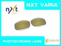 X-SQUARED - Gold Varia - NXT® VARIA™ Photochromic