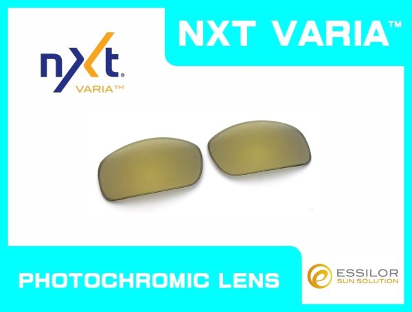 Photo1: X-SQUARED - Gold Varia - NXT® VARIA™ Photochromic