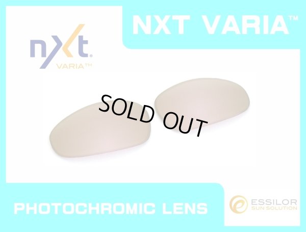 Photo1: JULIET - Pinky Gold - NXT® VARIA™ Photochromic