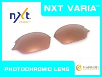 ROMEO2 - Pinky Gold - NXT® VARIA™ Photochromic