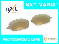 ROMEO2 - Gold Varia - NXT® VARIA™ Photochromic