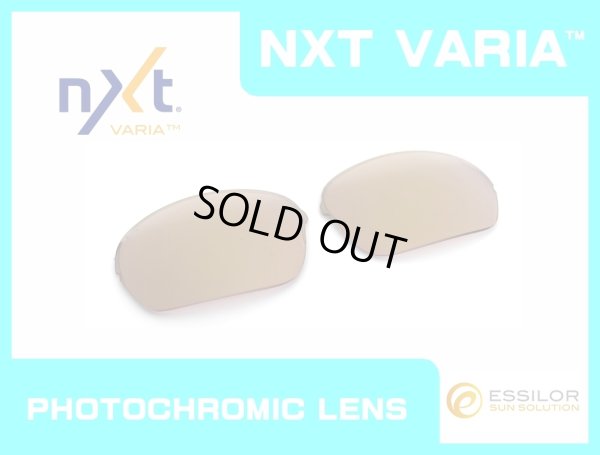 Photo1: HALF-X - Pinky Gold - NXT® VARIA™ Photochromic
