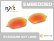 Photo1: ROMEO2 - Fire - NXT® EMBEDDED Non-Polarized (1)