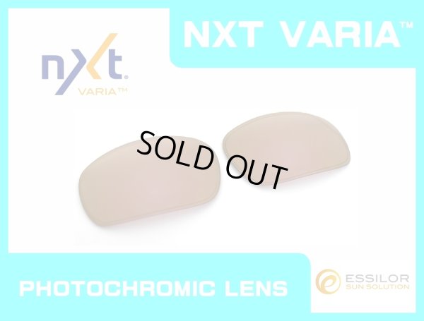 Photo1: BADMAN - Pinky Gold - NXT® VARIA™ Photochromic