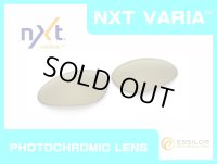 PENNY - Gold Varia - NXT® VARIA™ Photochromic