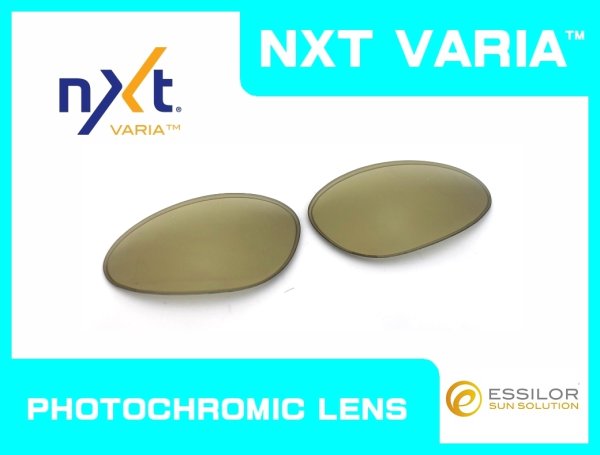 Photo1: PENNY - Gold Varia - NXT® VARIA™ Photochromic