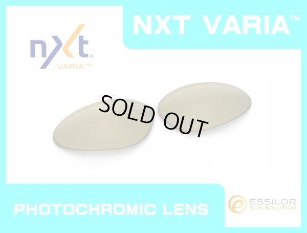 Photo1: PENNY - Gold Varia - NXT® VARIA™ Photochromic