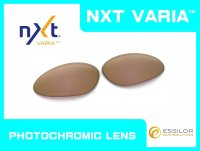 PENNY - Sunset Rose - NXT® VARIA™ Photochromic