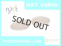 PENNY - Pinky Gold - NXT® VARIA™ Photochromic