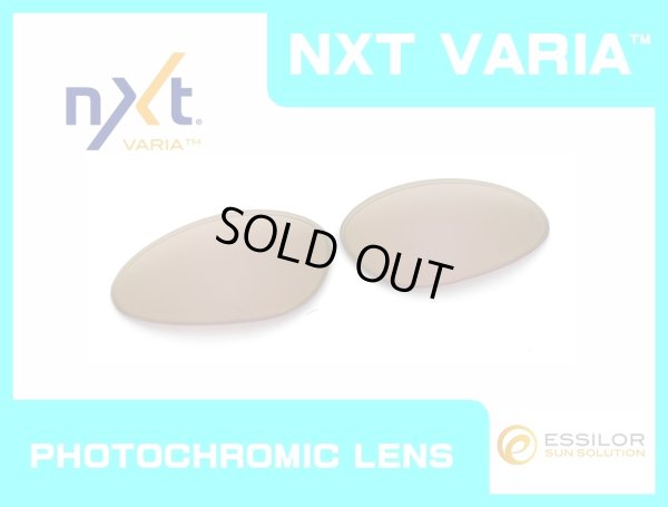 Photo1: PENNY - Pinky Gold - NXT® VARIA™ Photochromic