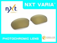 HALF-X  - Gold Varia - NXT® VARIA™  Photochromic