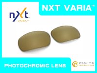 BADMAN - Gold Varia - NXT® VARIA™ Photochromic