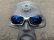 Photo11: X-SQUARED - NB10 - UV420 Polarized