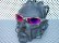 Photo5: JULIET - Tanzanite - UV420 Polarized