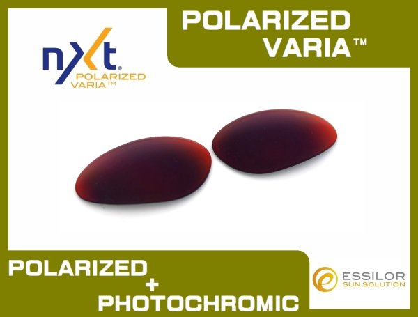 Photo1: PENNY - Red Mirror - NXT® POLARIZED VARIA™ Photochromic