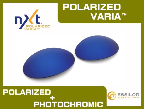 Photo1: ROMEO1 - ICE - NXT® POLARIZED  VARIA™ Photochromic