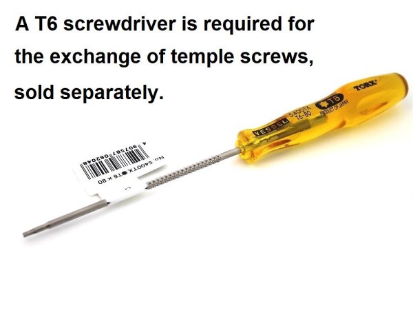 Photo5: X-SQUARED - Temple Screw