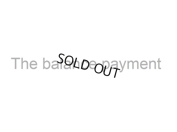 Photo1: Tha balance payment