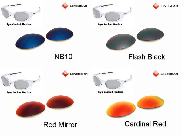 Photo3: EYE JACKET REDUX Polarized Lenses