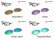 Photo4: PLANTARIS Non-Polarized Lenses