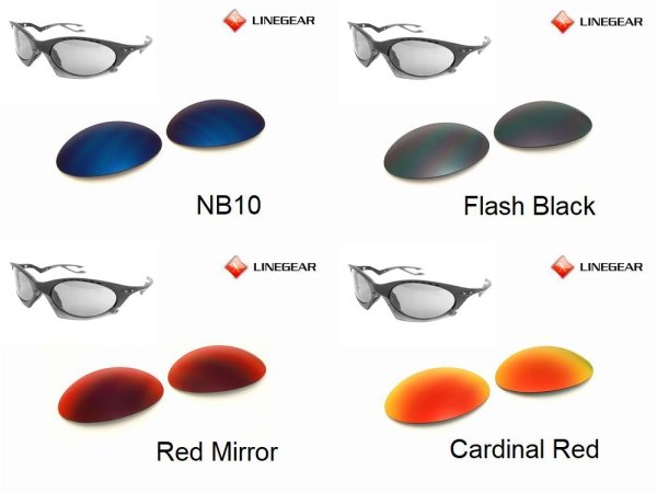 Photo3: PLANTARIS Polarized Lenses