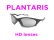 Photo1: PLANTARIS HD Lenses (1)