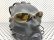 Photo6: ROMEO2 - Gold Mirror - NXT® POLARIZED