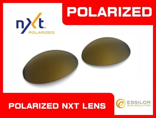 Photo1: ROMEO1 - Gold Mirror - NXT® POLARIZED
