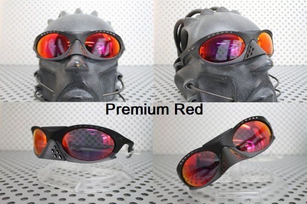 Photo8: PLANTARIS Polarized Lenses