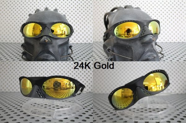 Photo6: PLANTARIS Polarized Lenses