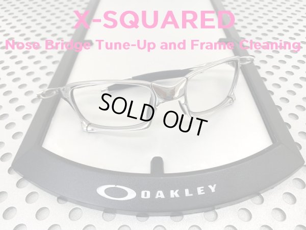 Photo1: X-Squared Nose Bridge Tune-Up and Frame Cleaning