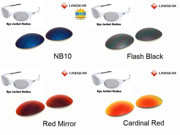 Photo3: EYE JACKET REDUX Polarized Lenses