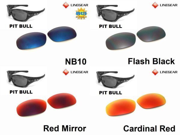 Photo3: Pit Bull Polarized Lenses