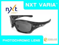 Pit  Bull NXT® VARIA™ Photochromic Lenses